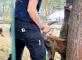 Les animaux des Jardins de Sormiou Les Jardins de Sormiou Marseille